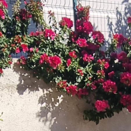 Vila Megi-Rent Room Vlorë Exteriér fotografie