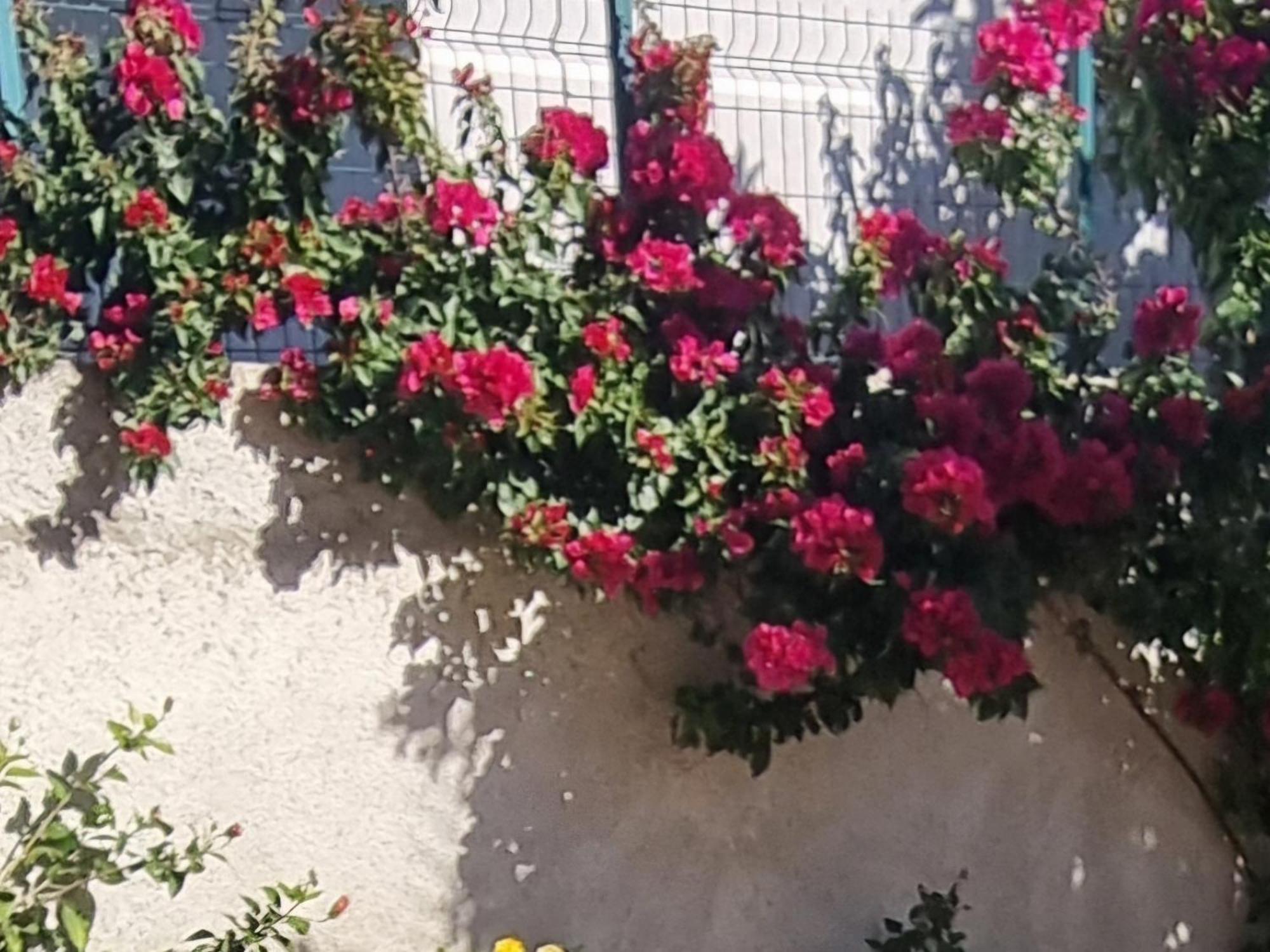 Vila Megi-Rent Room Vlorë Exteriér fotografie