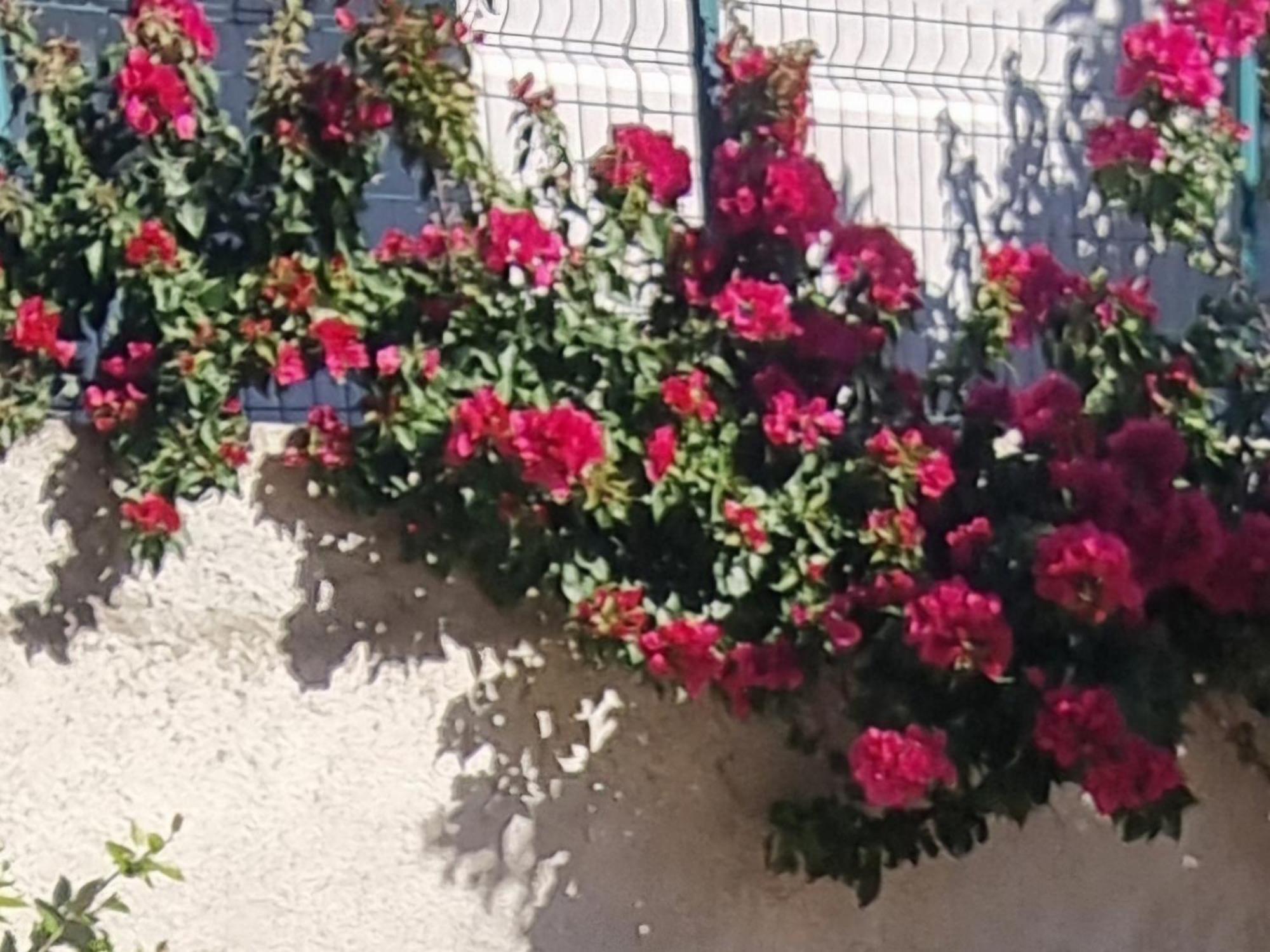 Vila Megi-Rent Room Vlorë Exteriér fotografie