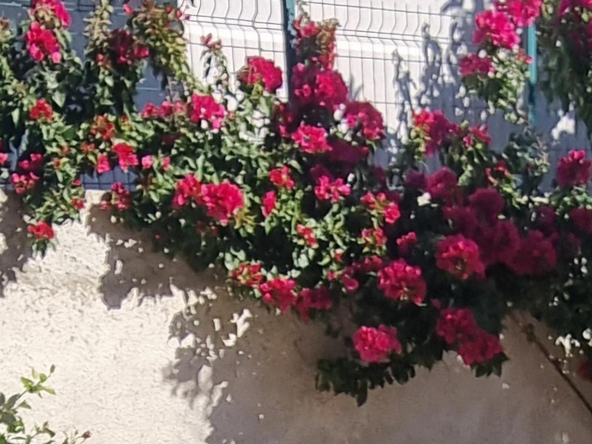 Vila Megi-Rent Room Vlorë Exteriér fotografie