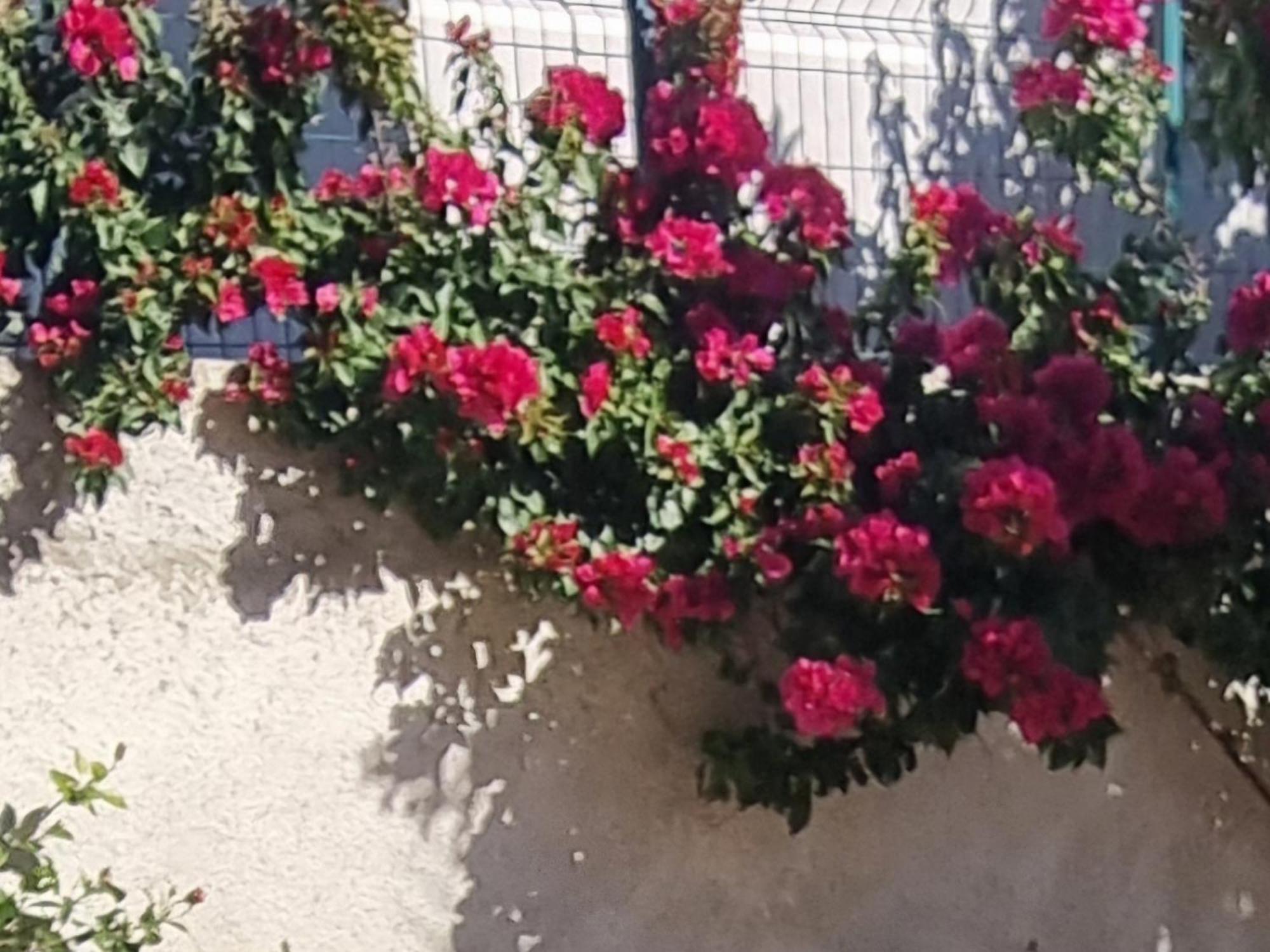 Vila Megi-Rent Room Vlorë Pokoj fotografie