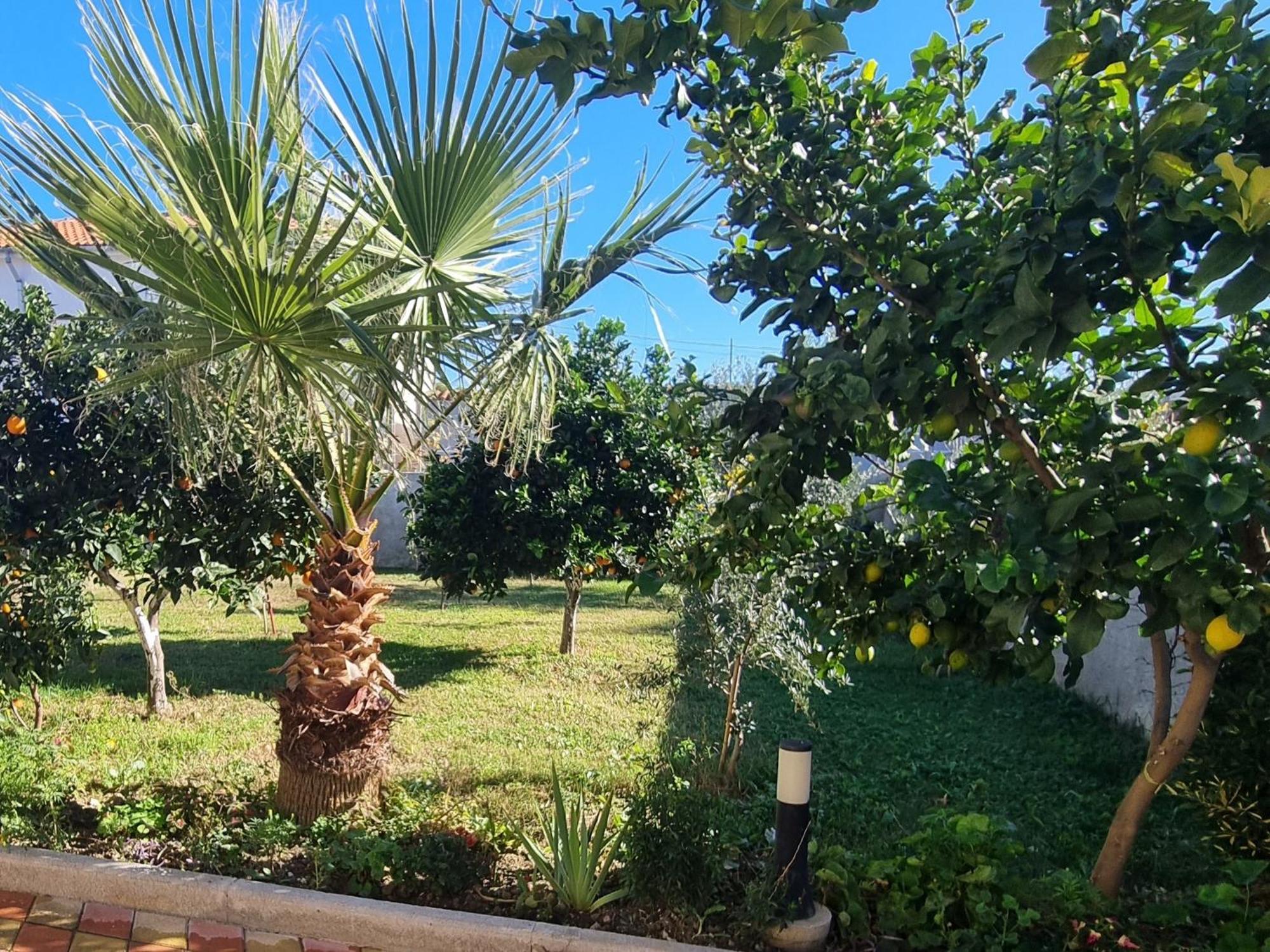 Vila Megi-Rent Room Vlorë Exteriér fotografie